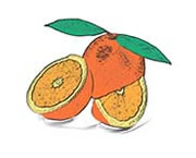 Oranges after coloring with Color My World app for iOS and Android